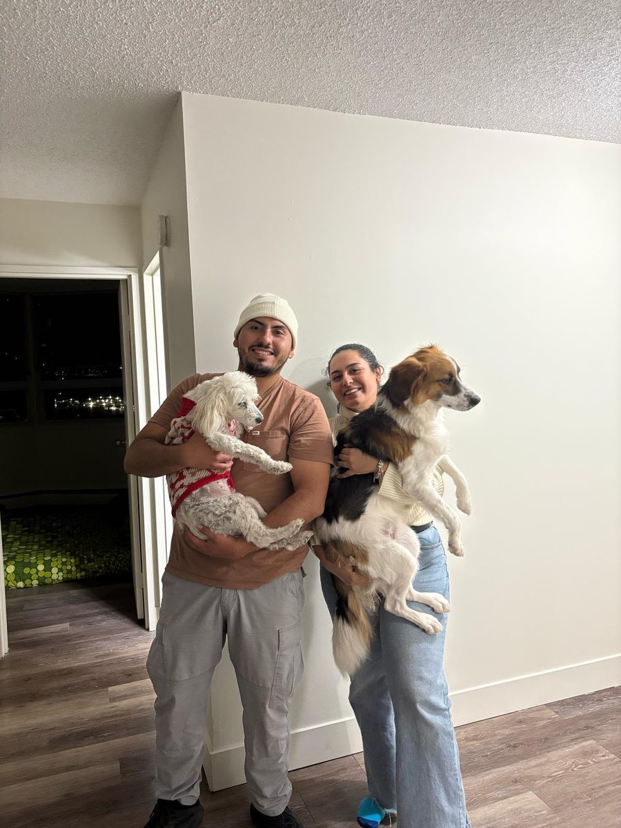 Pareja de clientes con sus perros en su nuevo hogar